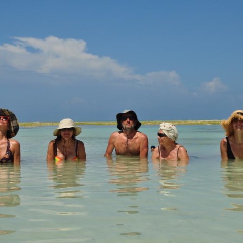 0c0968f9-32db-431a-9f64-ff31f10c057e