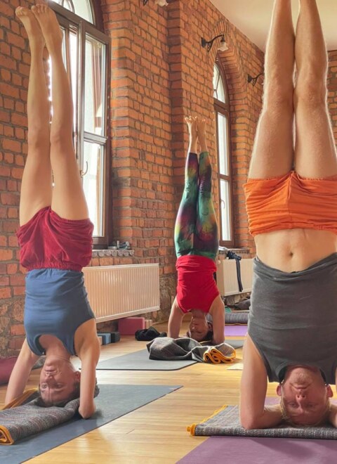 Joga Foksa w Antoniowie