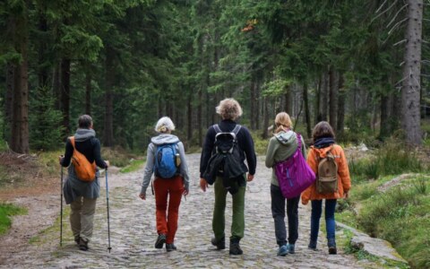 71140196_2445778158820873_5112353993959407616_n