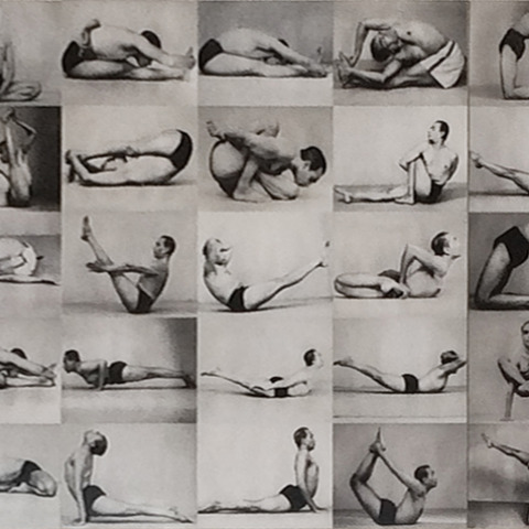 joga