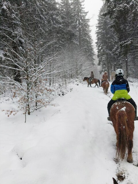 Joga Foksal w Górach Izerskich