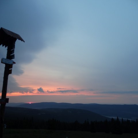 DSC06510-1