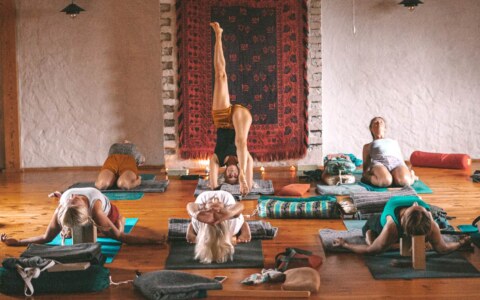 Warsztaty jogi - pogłębiona praktyka - Kuwasy nad Biebrzą