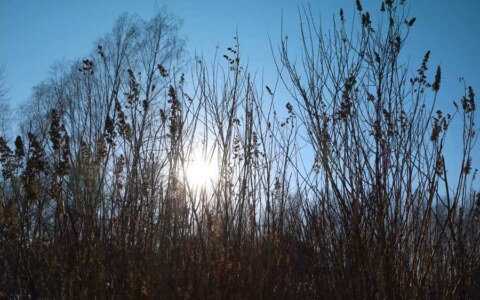 Zagroda Kuwasy wiosną