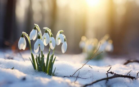 Zagroda Kuwasy wiosną