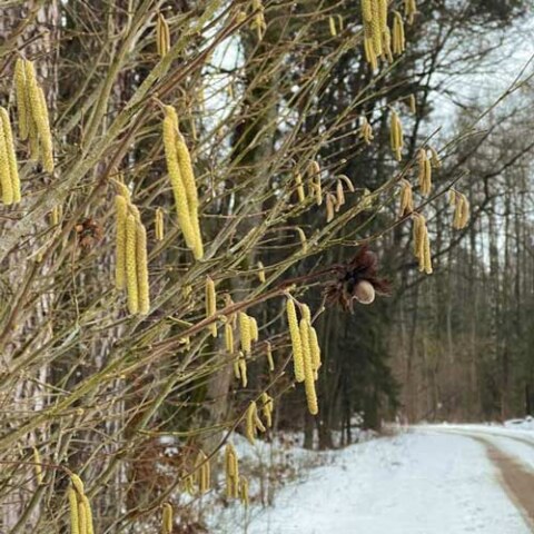 Wiosna w Zagrodzie Kuwasy
