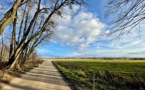 Zagroda Kuwasy wiosną