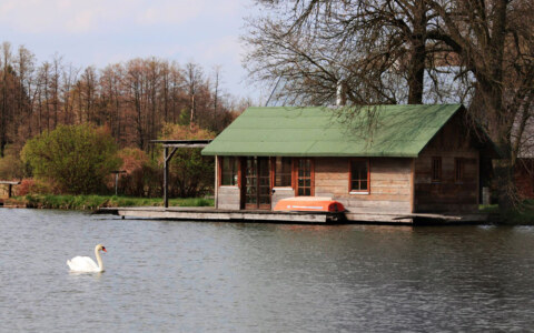 Wyjazdy z joga - Zagroda Ojrzanów