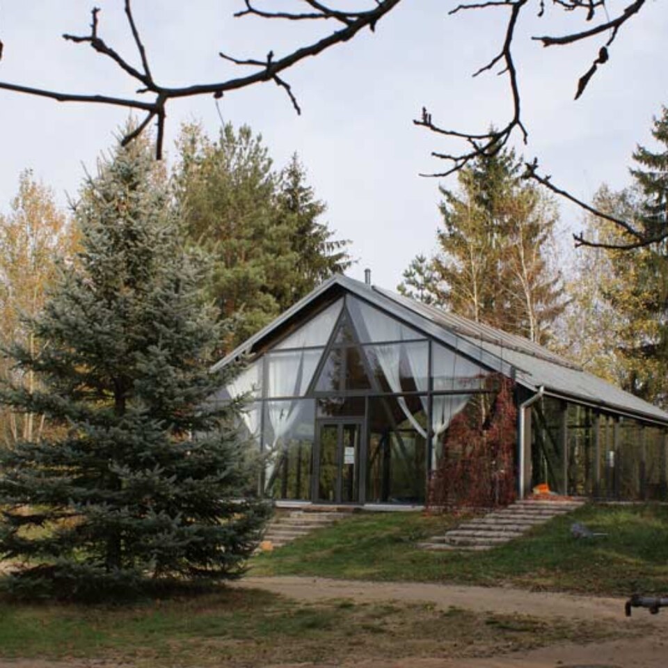 Zagroda_Ojrzanow_sala-jesien