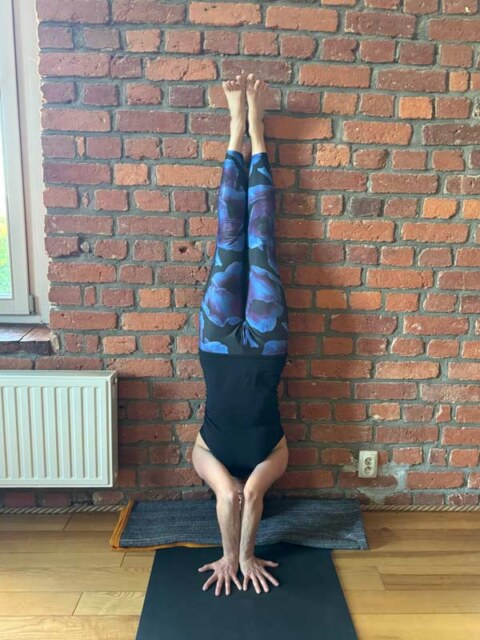 Warsztaty jogi w Biały Dom Antoniów