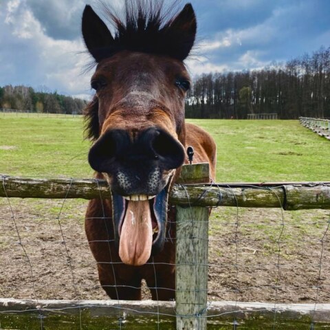 noc w Zagrodzie Ojrzanów