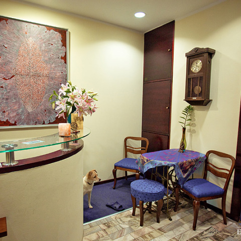 Joga Foksal - wnętrza