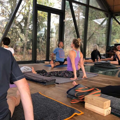 joga-ojrzanow-jesien-sala