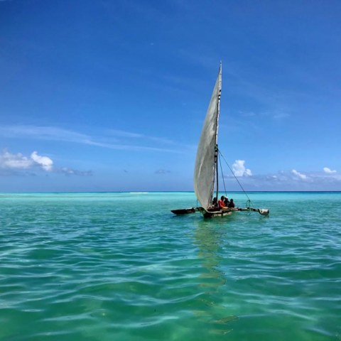 joga_na_zanzibacze_11