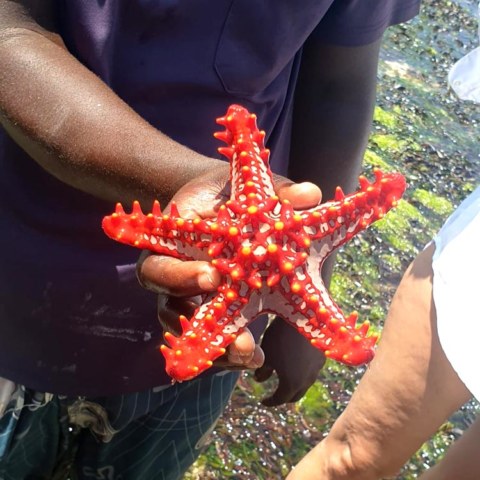 joga_na_zanzibacze_14