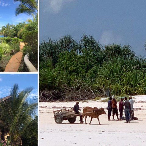 joga_na_zanzibacze_4