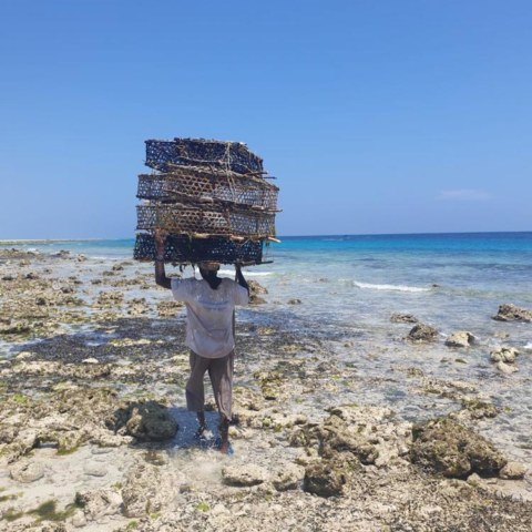 joga_na_zanzibacze_m3