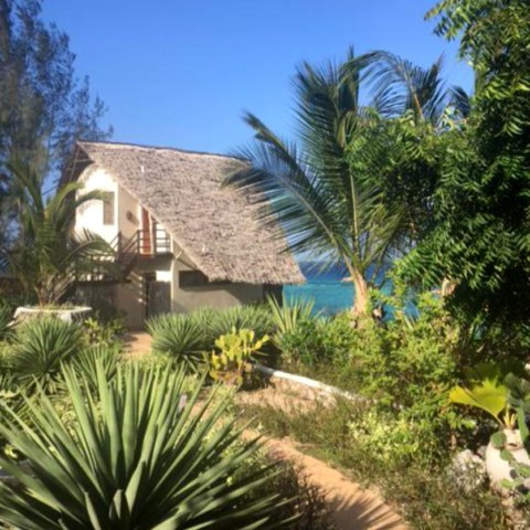 joga_na_zanzibarze_m6