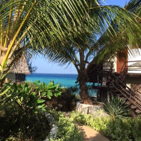 joga_na_zanzibarze_m7