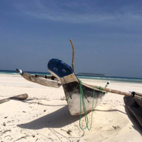 joga_na_zanzibarze_m8