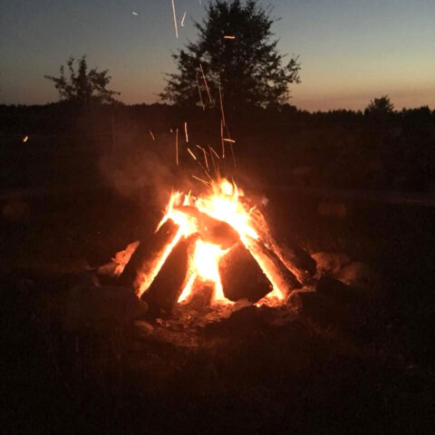 Joga Foksal w Kuwasach