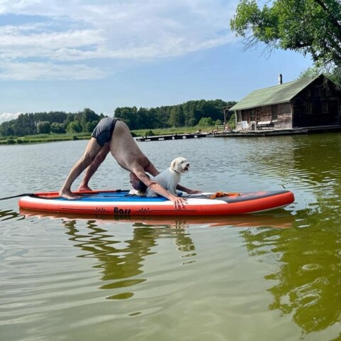 Joga Foksal warsztaty w Ojrzanowie