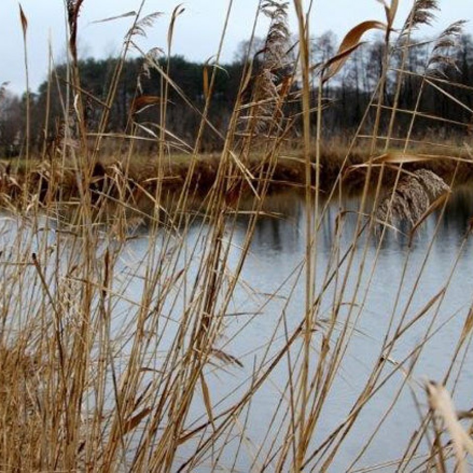 Zagroda Ojrzanów
