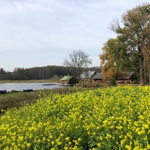 ojrzanow-okolice-jesie