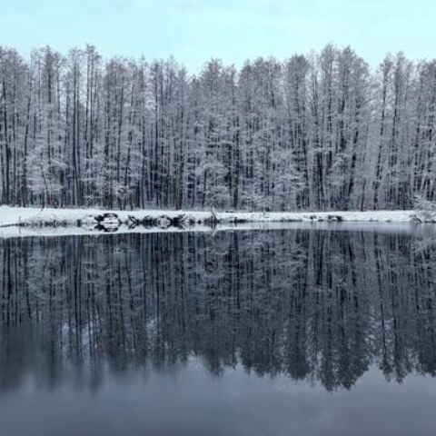 ojrzanow-zima-las-staw