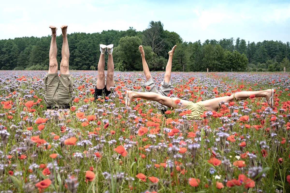 warsztat jogi w Ojrzanowie, asany na łące wśród maków