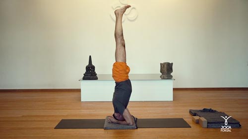 joga regeneracyjna z Adamem i Joanną