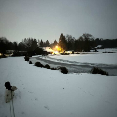 sylwester-noc-800-ojrzanow