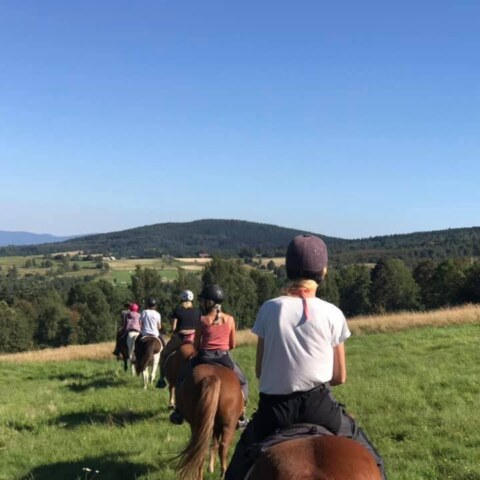 wyjady-z-Joga-Foksal-Antooniow-konie2