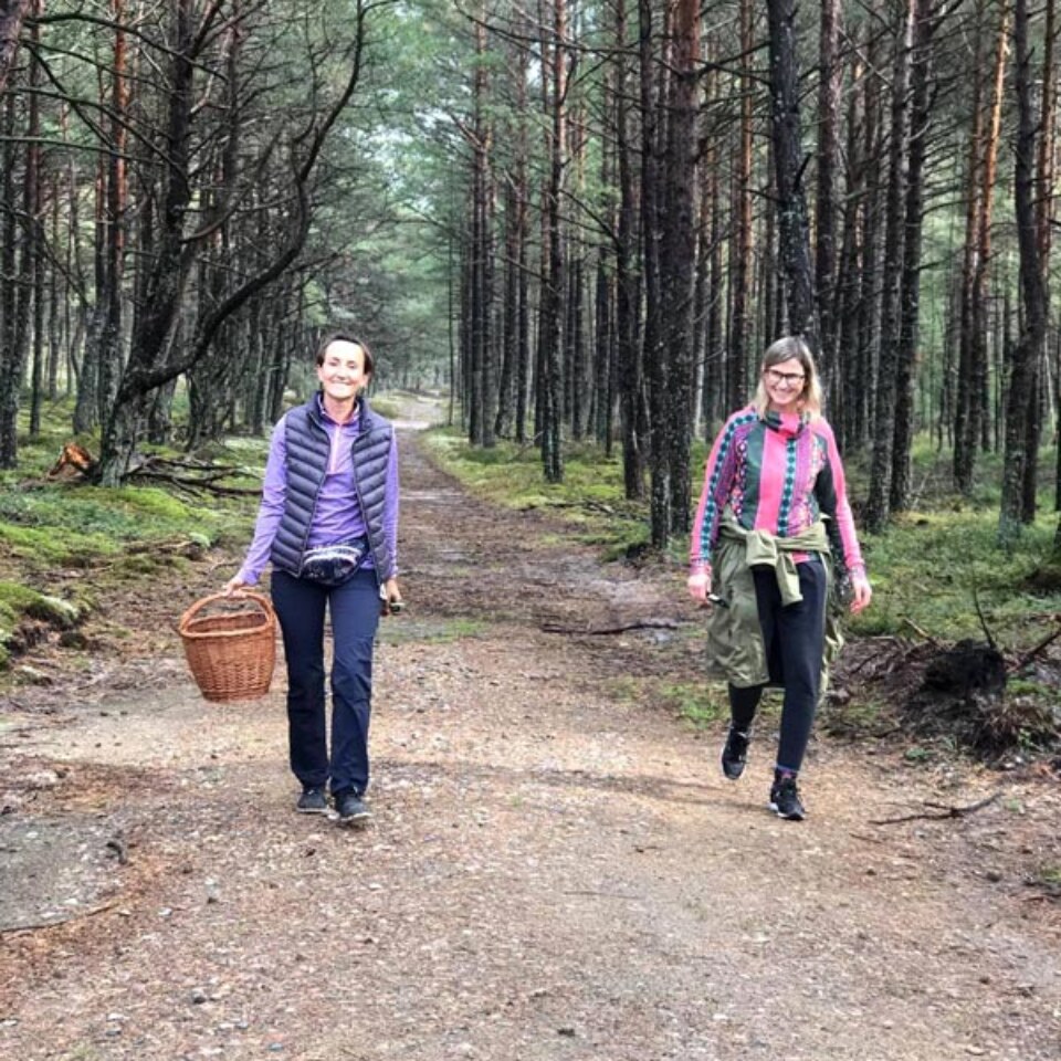 Terapia jogą z Joga Foksal - Prusewo nad morzem