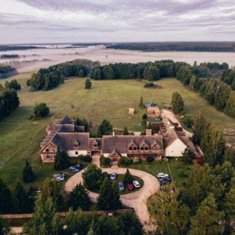 Tytuł