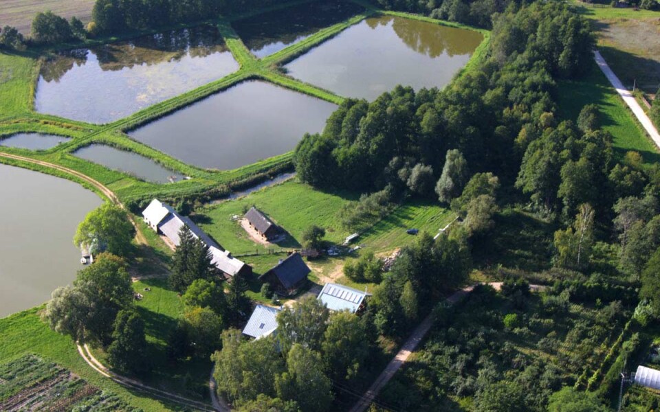 zagroda-ojrzanow-z-lotu-ptaka1a